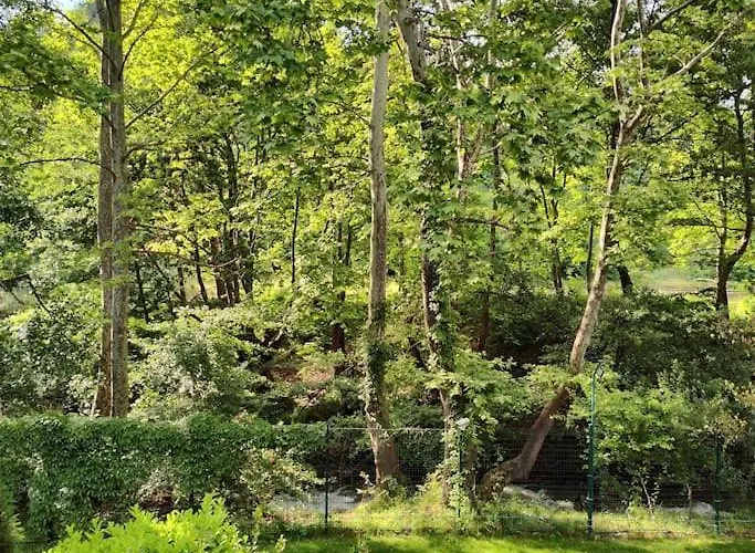 Modern 2bdrm In 5* & Pool